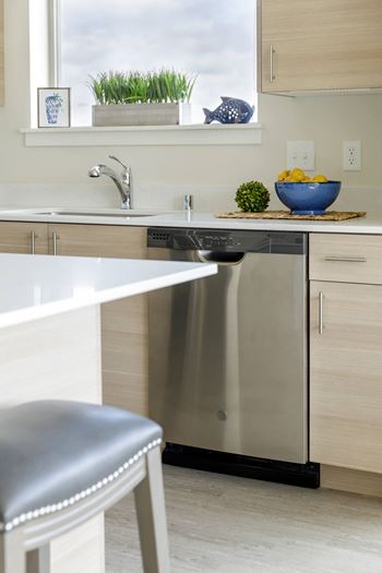 Kitchen Dishwasher at Harbor Heights 55+ Community, Washington