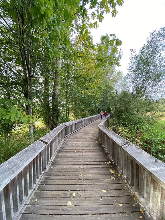 Nisqually Reserve boardwalk at Harbor Heights 55+ Community, Olympia, WA 98501