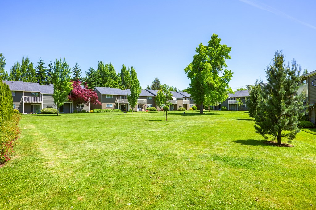 a grassy area wi at Chalet, Springfield, 97477