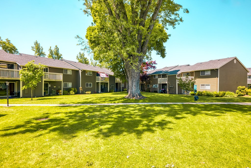 a large tree sits in the middle of a grassy area in front of a row of at Chalet, Oregon