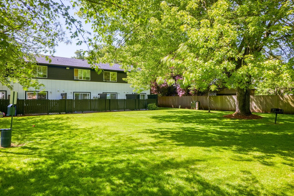 a backyard with a large tree and a house in the background