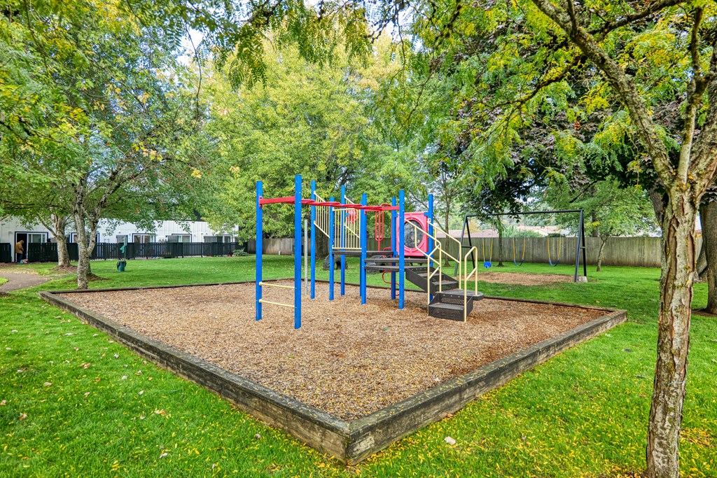 a playground in a park with trees and grass