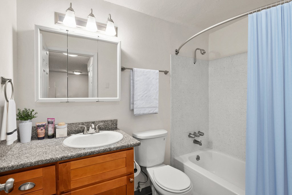 a bathroom with a toilet sink and bathtub