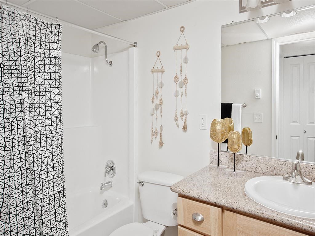 a bathroom with a shower and a sink and a mirror