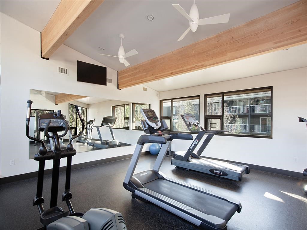 the gym has treadmills and a flat screen tv