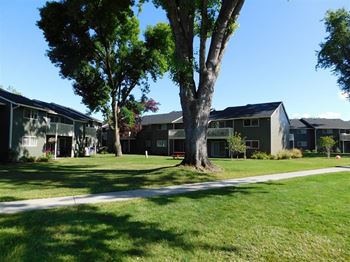 The Chalet apartments in Springfield, OR with trees and a greenbeltgrass and trees in front of them