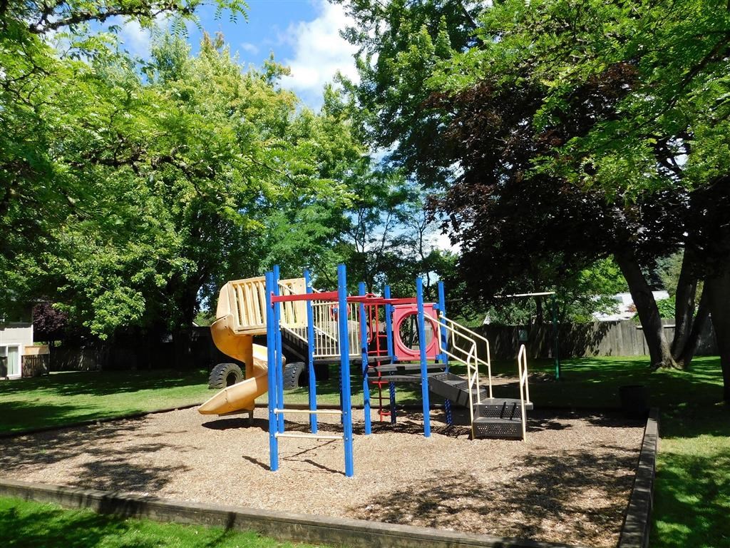a playground with a slide in a park