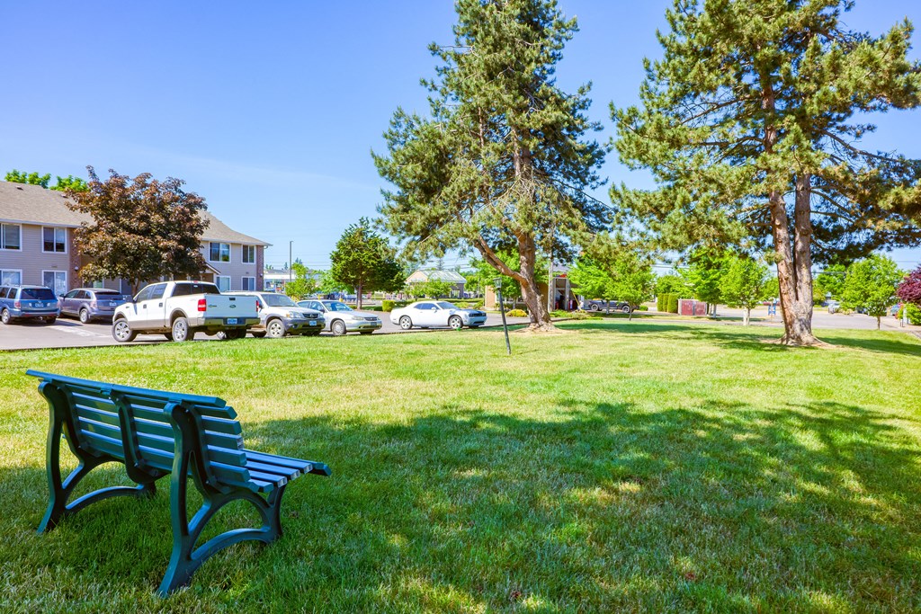 a park bench sits in the middle of a grassy area