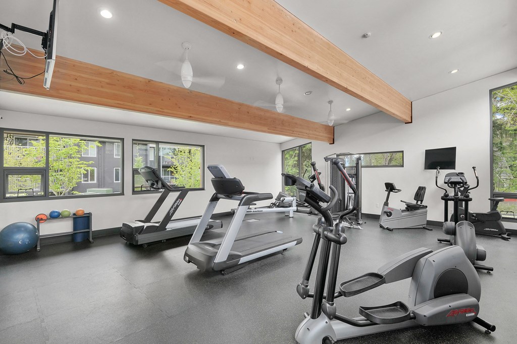 the gym has treadmills and ellipticals and windows