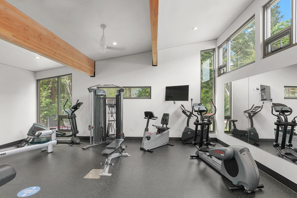 the gym has plenty of equipment and windows to the outdoors