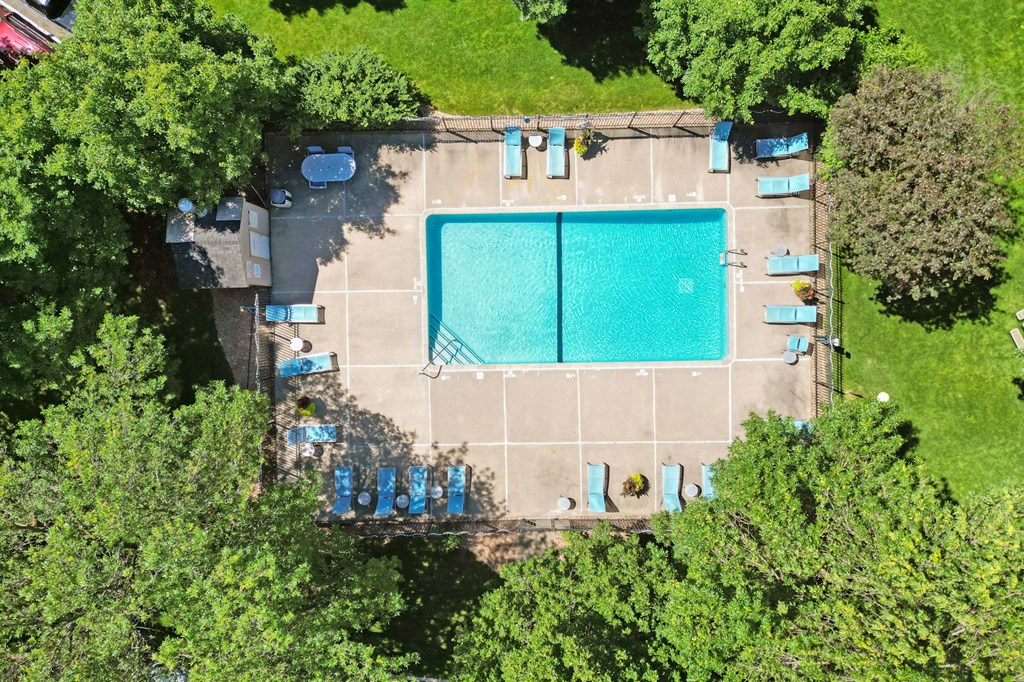 An aerial view of a swimming pool surrounded by trees.