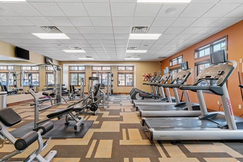 A gym with treadmills, weights, and exercise machines.