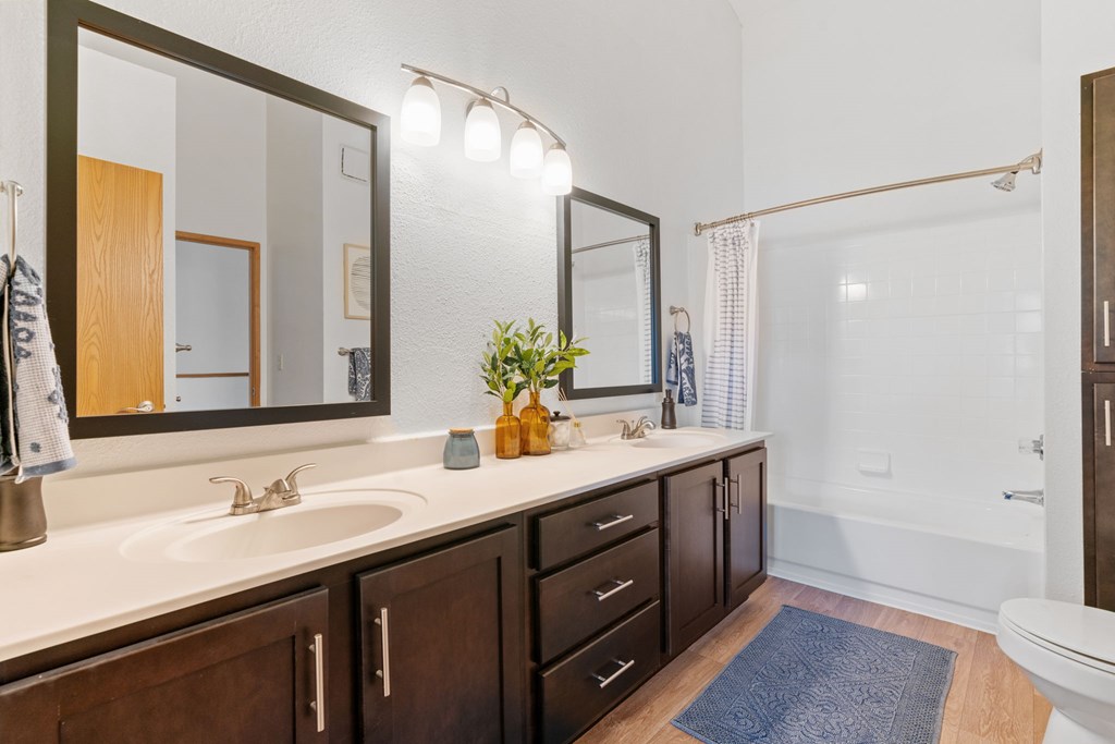A bathroom with a sink, mirror, and a blue rug.