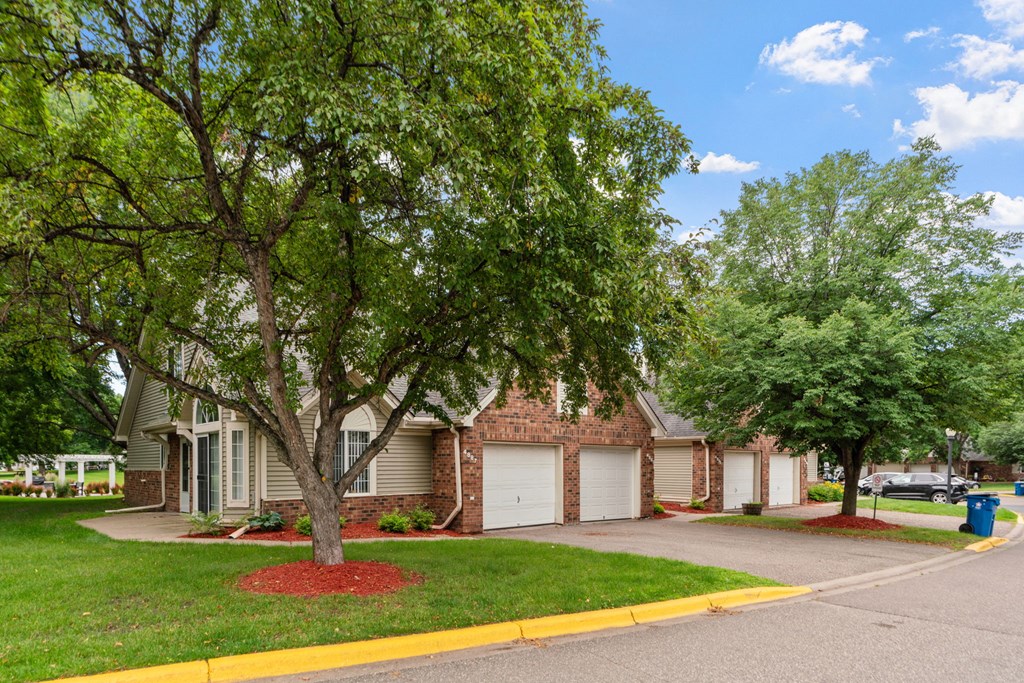 A tree in front of a house with a red mulch bed.