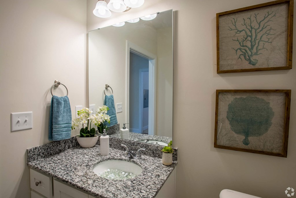 Bathroom vanity at The Retreat at Sumter Apartments, South Carolina