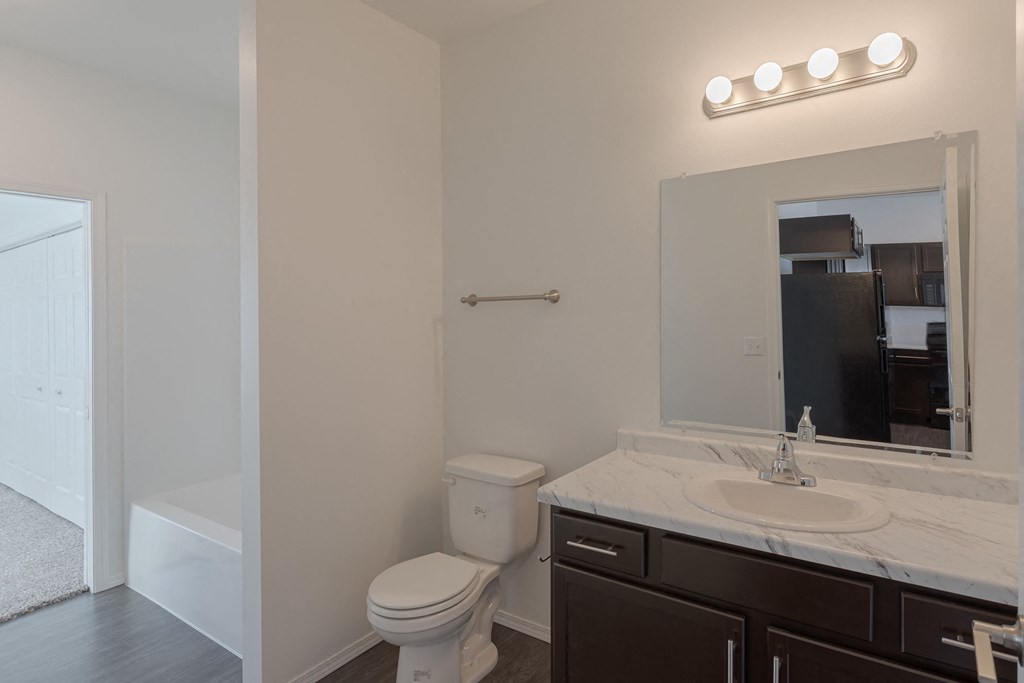 a bathroom with a sink and a toilet and a mirror