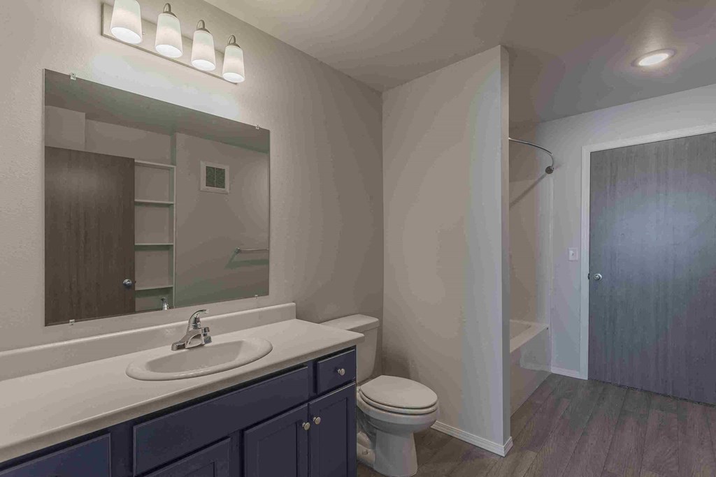 a bathroom with a sink and a toilet and a mirror