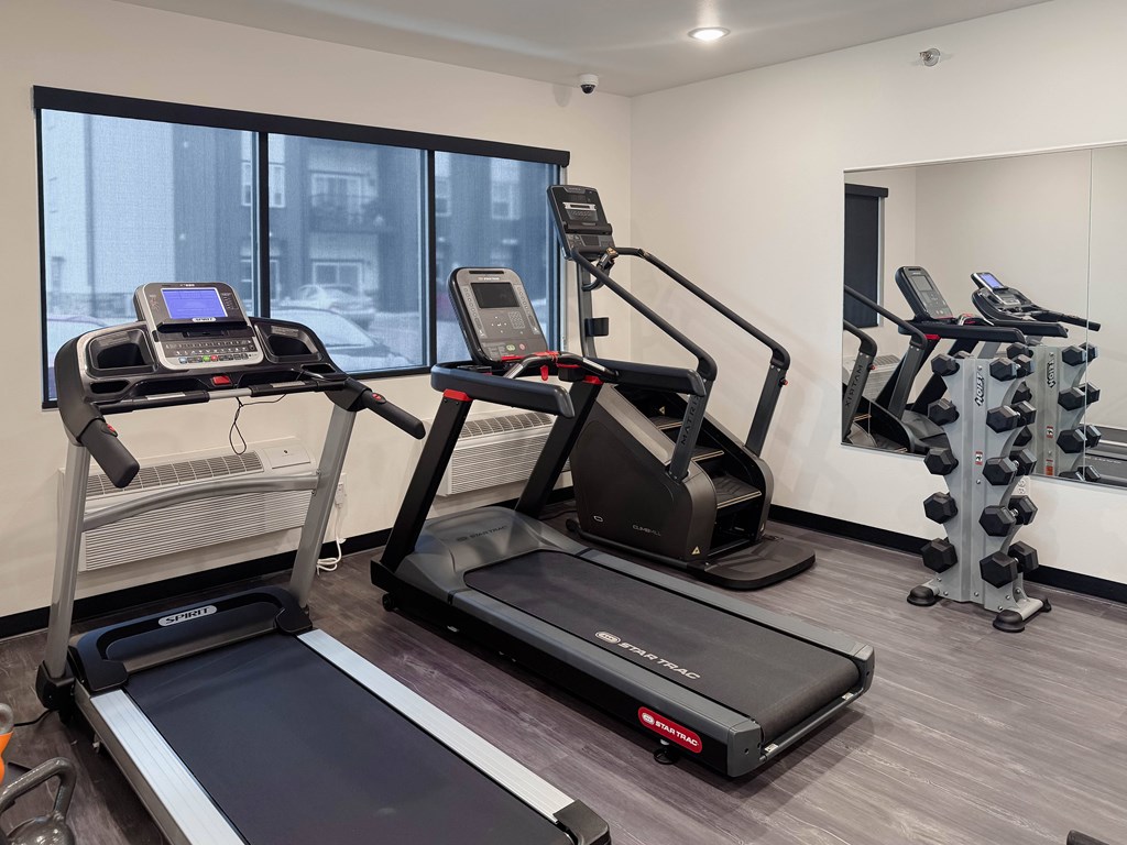 A gym with treadmills, elliptical machines, and dumbbells.
