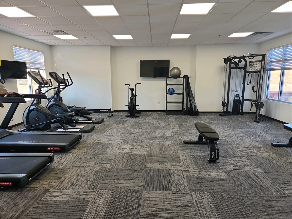 A gym with treadmills, weights, and exercise equipment.