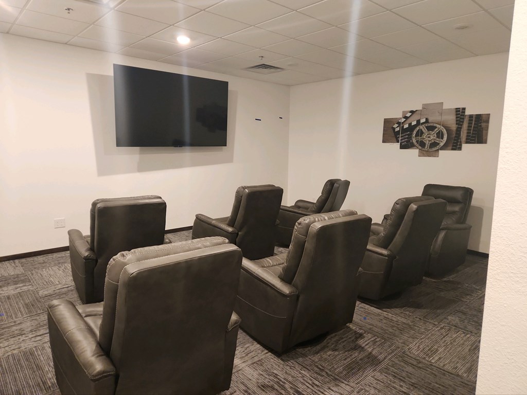 Theater Room