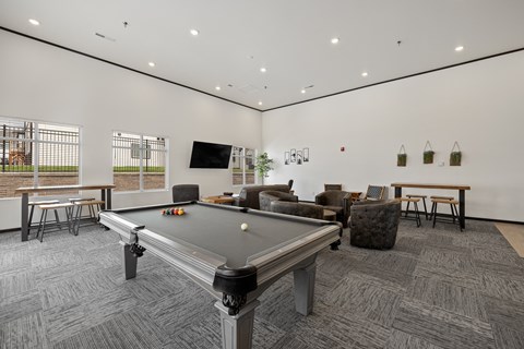 Community Pool Table