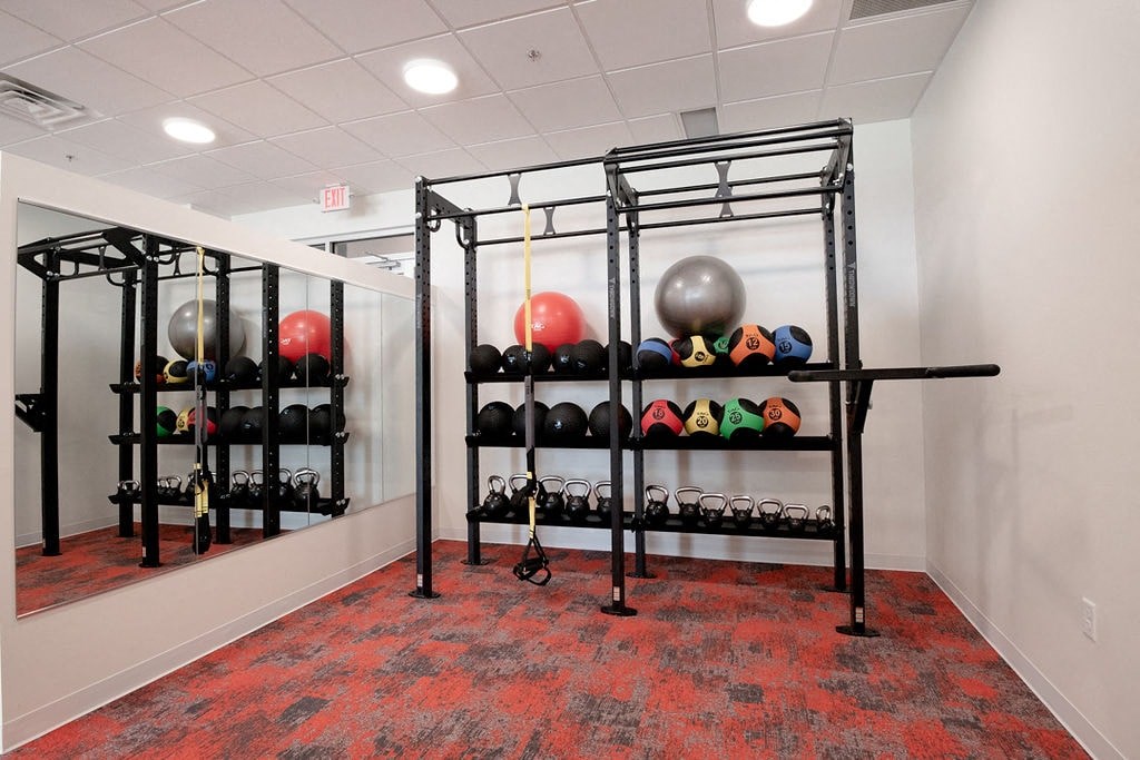 fitness room equipment rack