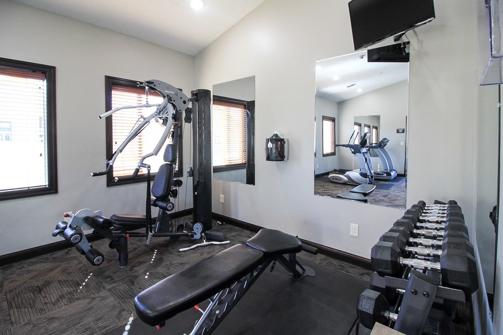 A well-equipped home gym with a variety of exercise machines.