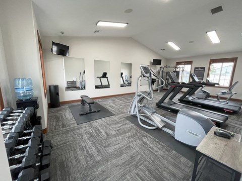 A well-equipped gym with treadmills, weights, and exercise machines.