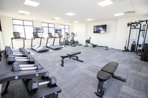 A gym with treadmills, weights, and exercise equipment.