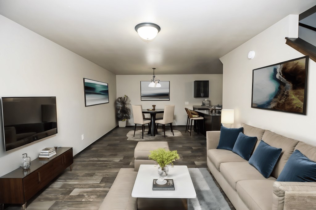 A living room with a couch, a coffee table, and a television.