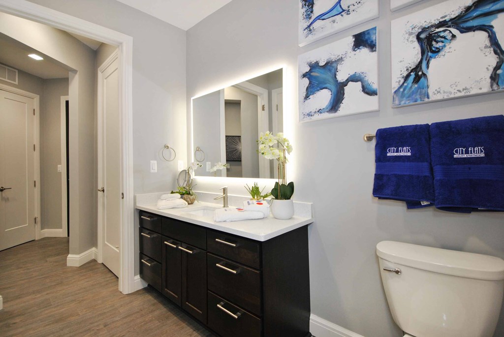 vanity with lighted mirror