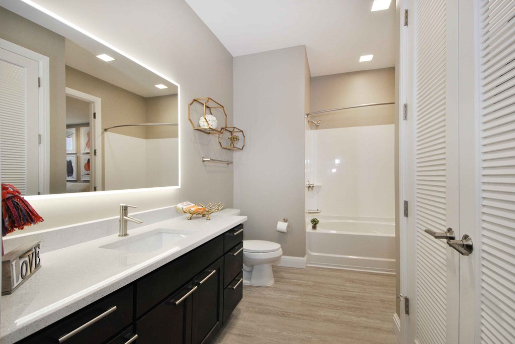 bathroom vanity and tub