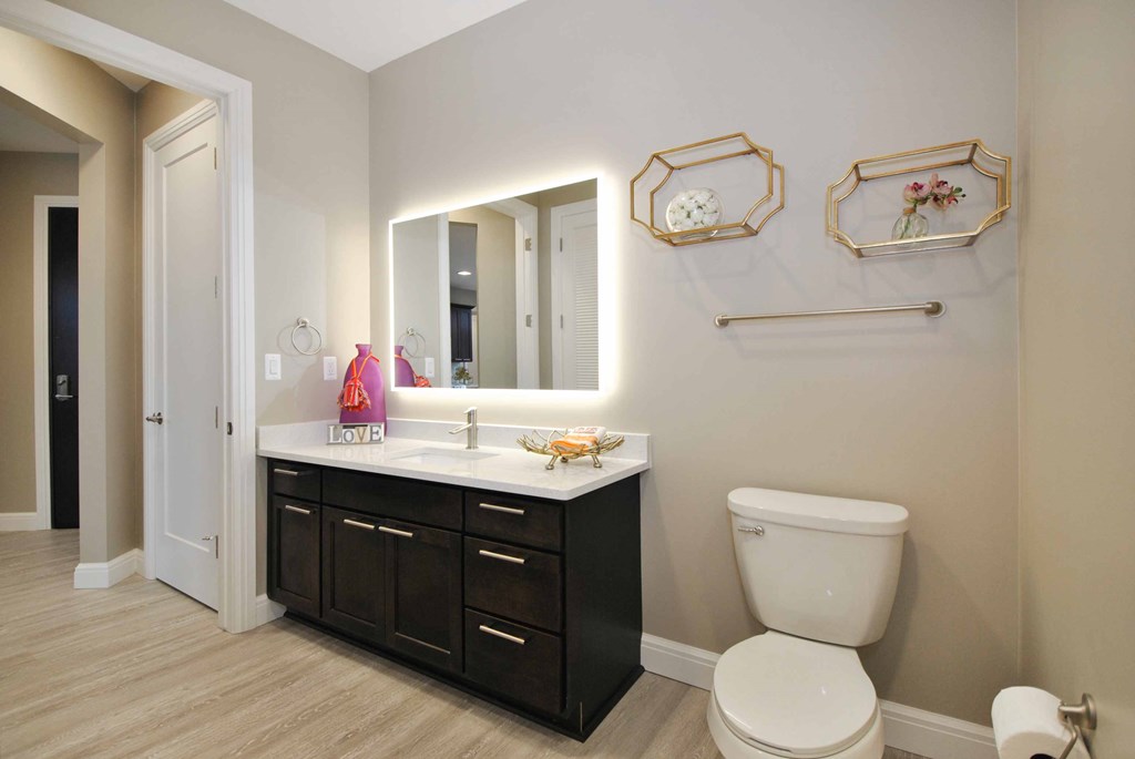 vanity and lighted mirror