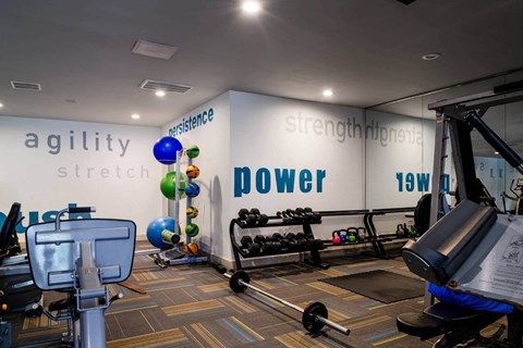 Modern Fitness Center at Park at Voss Apartments, The Barvin Group, Houston, 77057