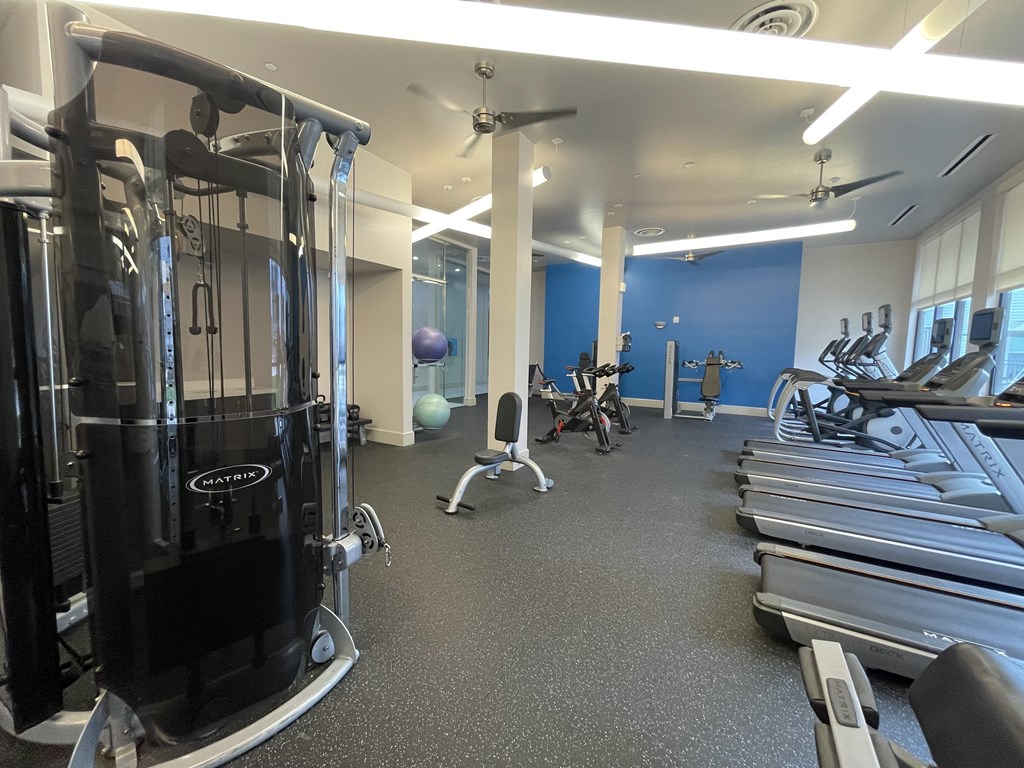 A gym with a variety of equipment including treadmills, weights, and a fan.