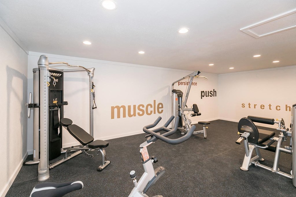 a gym with exercise equipment and murals on the wall