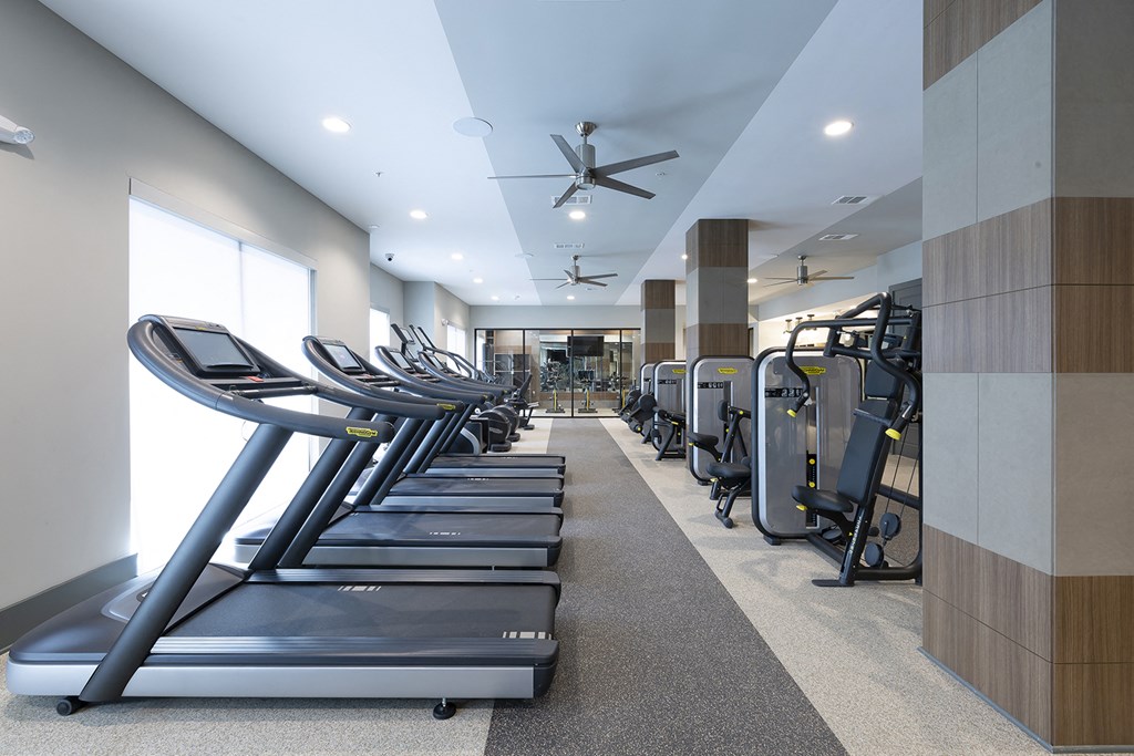 a row of treadmills in a room with a large window and a wall