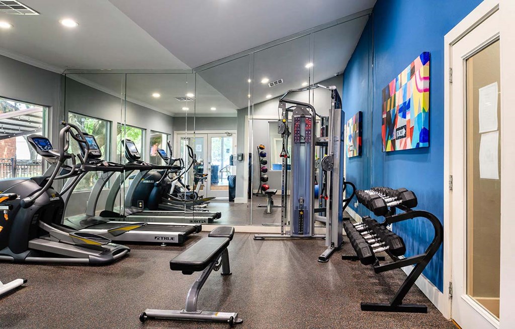 Fitness Center With Modern Equipment at The Daphne Apartments, The Barvin Group, Houston, TX