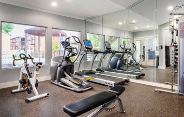 Cardio Studio Equipment at The Daphne Apartments, The Barvin Group, Houston, TX, 77054 - Photo Gallery 3