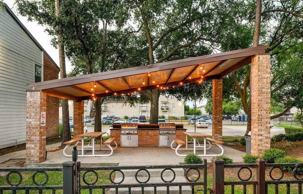 Grill & Picnic Area at The Daphne Apartments, The Barvin Group, Texas, 77054