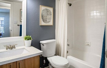 Modern Bathroom With Bathtub at The Daphne Apartments, The Barvin Group, Houston, Texas - Photo Gallery 13