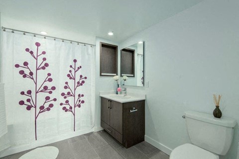 41 East Hastings Studio-1 Bed Apartment for Rent - Photo Gallery 8