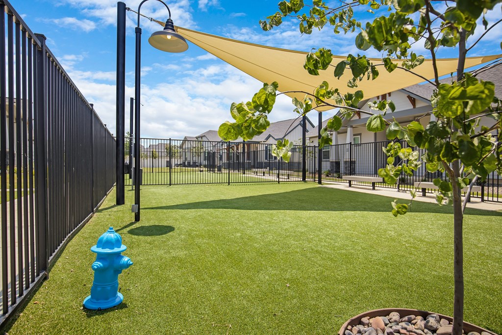 Beautiful Dog Park at Avilla Trails, Texas, 76123