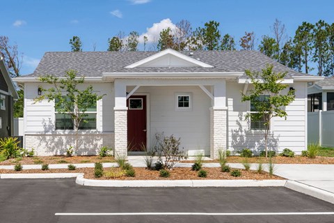 Property Exterior at Avilla Silver Palm, Land O Lakes, FL 34638