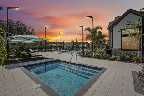 Sparkling spa and pool amenities at Avilla Silver Palm, Land O Lakes, FL 34638