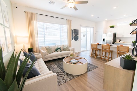 A living room with a couch, a coffee table, and a ceiling fan.