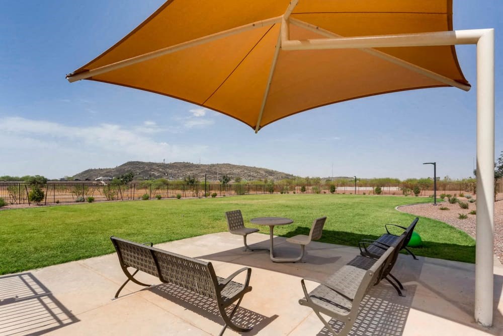 Dog Park at Avilla Deer Valley, Phoenix