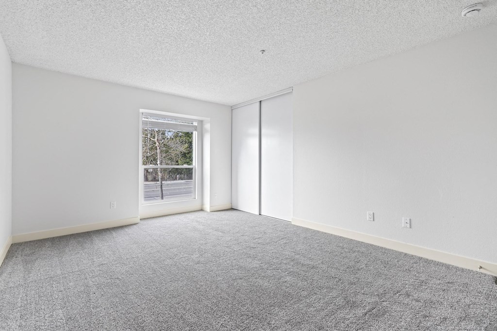 A room with a carpeted floor and a window showing trees outside at Stony Creek Apartments, Santa Rosa, 95401