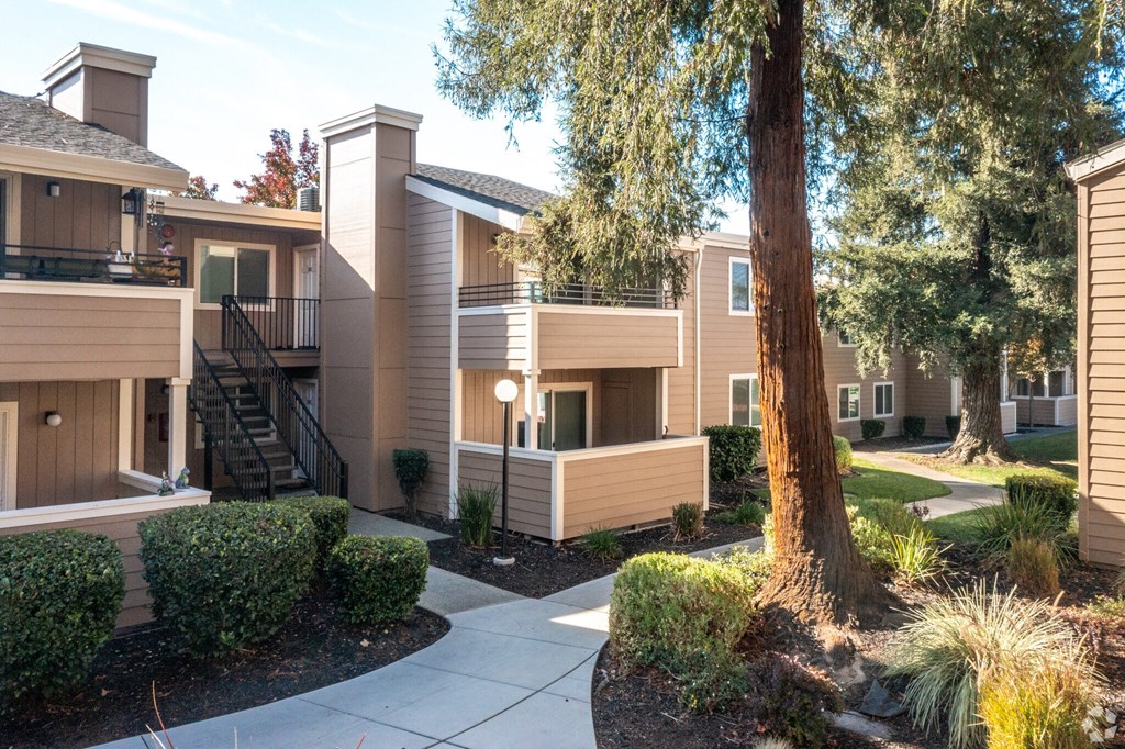 our apartments have a spacious courtyard with trees and bushes