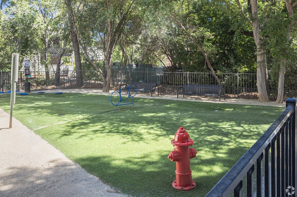 Dog Park with a red fire hydrant sitting on top of a lush green field